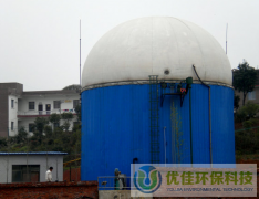 雙膜柔性氣柜結(jié)構(gòu)簡單維護少